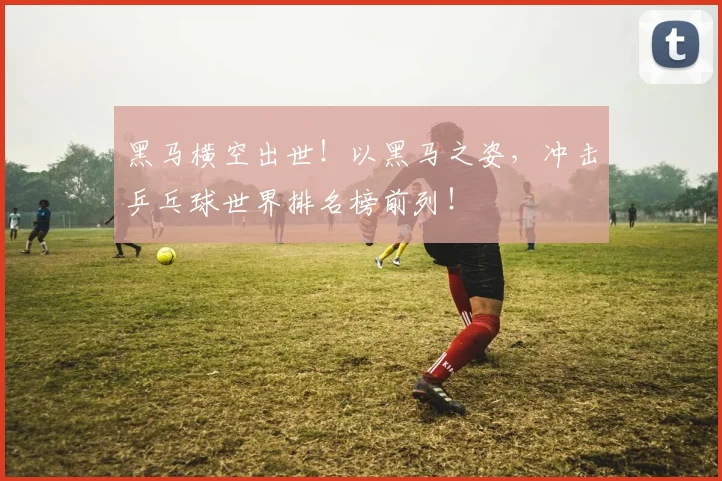 黑马横空出世!以黑马之姿,冲击乒乓球世界排名榜前列!